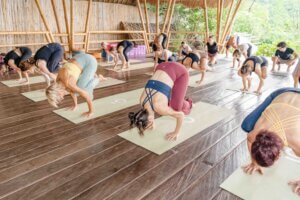 Yoga Teacher Training in Bali
