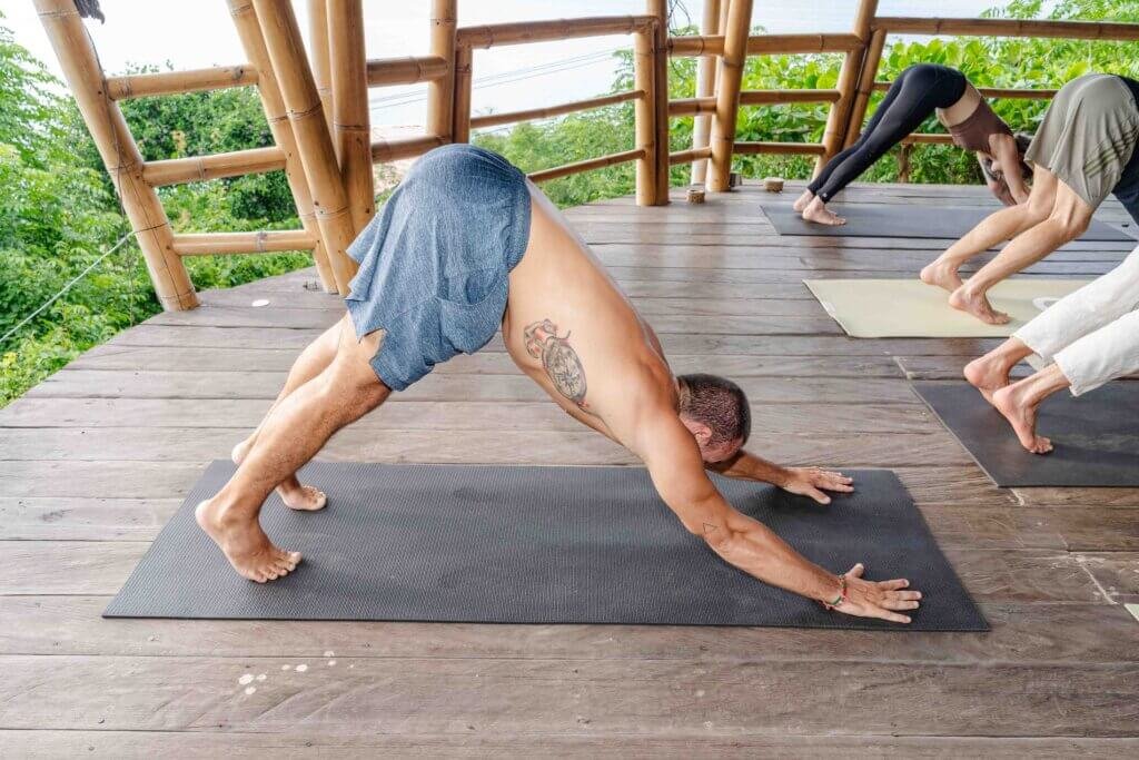 Downward Dog Yoga Pose
