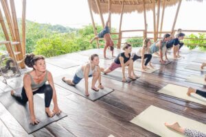 300 hour yoga teacher training