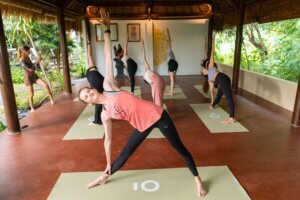 Yoga Teacher Certification